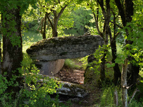 Les Dolmens de Limogne-en-Quercy Les Dolmens de Limogne-en-Quercy