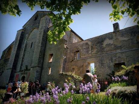 Journées Européennes du Patrimoine : Animations à l'Abbaye-Nouvelle Journées Européennes du Patrimoine : Animations à l'Abbaye-Nouvelle