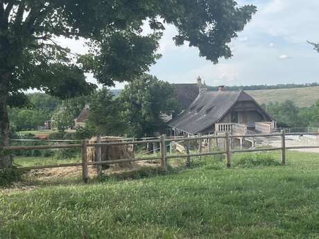 La Ferme de la Truffe - Chambres d'hôtes