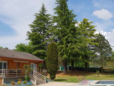 Les Sapins Mellifères