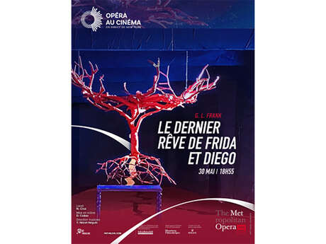L'OPÉRA AU CINÉMA : LE DERNIER RÊVE DE FRIDA ET DIEGO