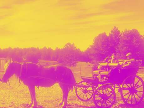 COLO THÉÂTRE ITINERANTE ­