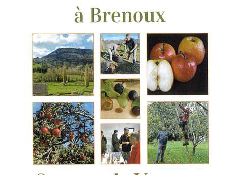 JOURNÉE DU VERGER CONSERVATOIRE