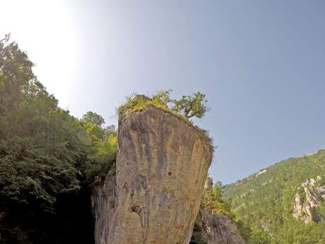 BUREAU DES MONITEURS DE SAINTE ENIMIE BUREAU DES MONITEURS DE SAINTE ENIMIE