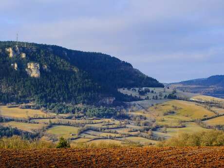 DÉCOUVERTE DES HAIES ET COLLECTE DE GRAINES