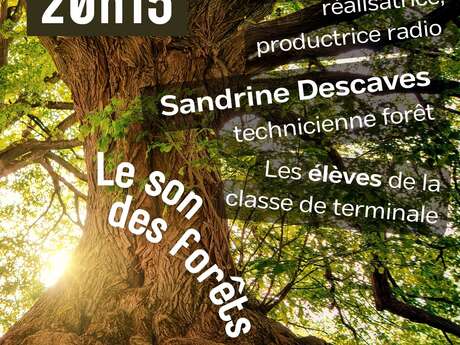 LE SON DES FORÊTS, SOIREE AUTOUR DE L'ARBRE ET DE LA FORÊT LE SON DES FORÊTS, SOIREE AUTOUR DE L'ARBRE ET DE LA FORÊT