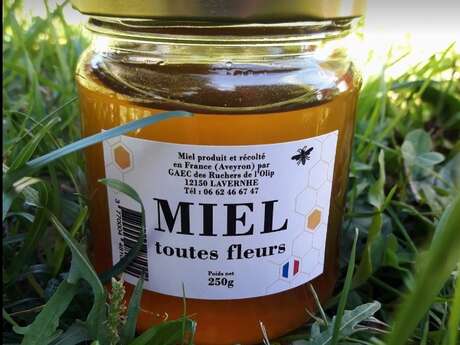 LES RUCHERS DE L'OLIP LES RUCHERS DE L'OLIP