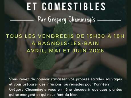 BALADE NATURALISTE : PLANTES SAUVAGES ET COMESTIBLES