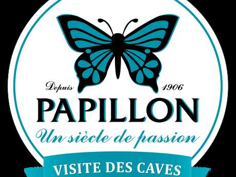 VISITE CAVES ROQUEFORT PAPILLON