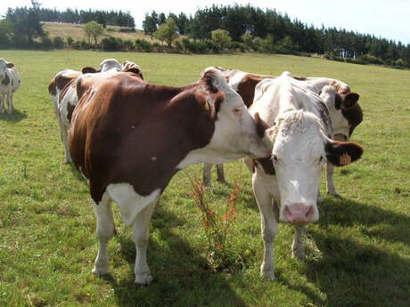 LES JEUDIS À LA FERME