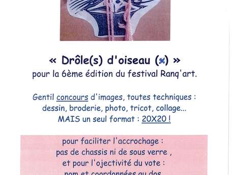 CONCOURS D'IMAGES " DRÔLE(S) D'OISEAU(X)
