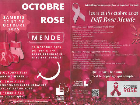 DÉFI ROSE
