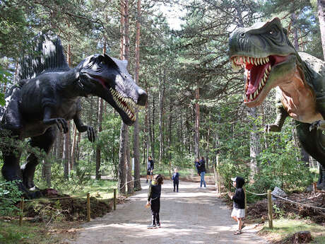 DINOPEDIA PARC