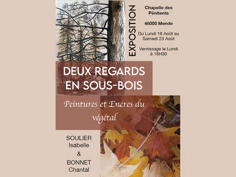 DEUX REGARDS EN SOUS-BOIS ...