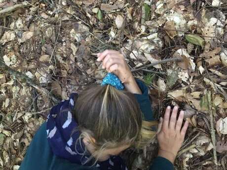 JOUER DANS LES BOIS