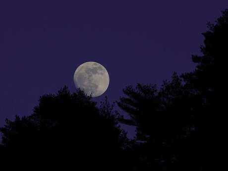 UN ÉTÉ AVEC LE PARC : PLEINE LUNE SUR LE MONT LOZÈRE