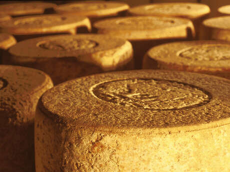 COOPERATIVE FROMAGÈRE JEUNE MONTAGNE