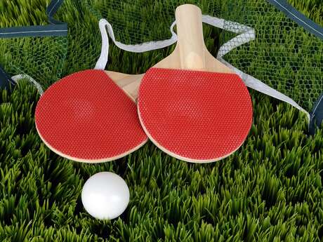 TENNIS DE TABLE