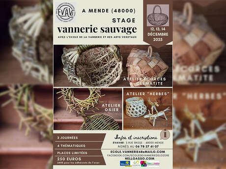 STAGE DE VANNERIE : VANNERIE SAUVAGE