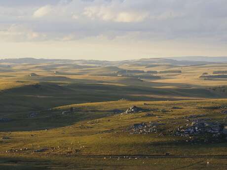 LA ROUTE DES LACS EN AUBRAC