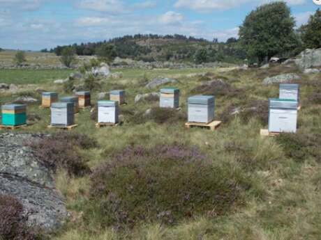 MIEL EN LOZERE LES RUCHERS DE MARIE ET GILBERT