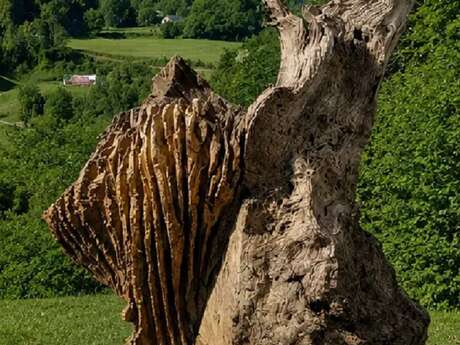 Exposition "ouvrages du vivant"