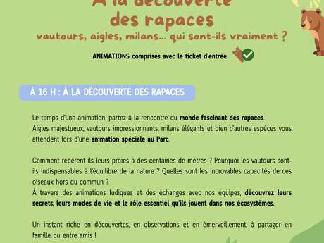 Parc'Ours - A la découverte des rapaces