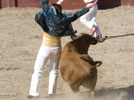 Concours Landais