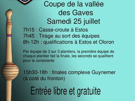 Coupe de la Vallée des Gaves- Quilles de 9