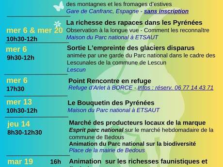 Animation - la richesse des rapaces dans les Pyrénées Animation - la richesse des rapaces dans les Pyrénées