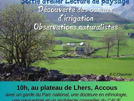 Animation - atelier dessin et lecture du paysage