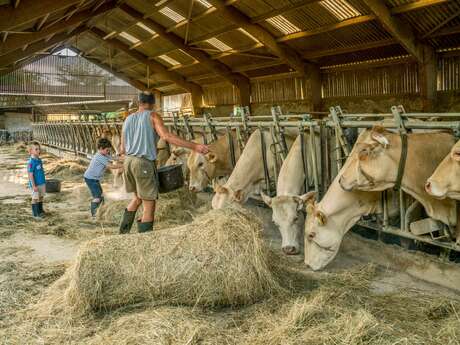 Breeder's apprentice