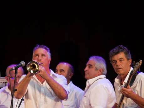 Le concert des 25 d'Arraya !