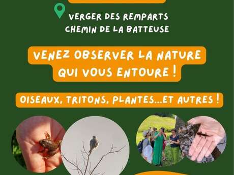 Promenade naturaliste