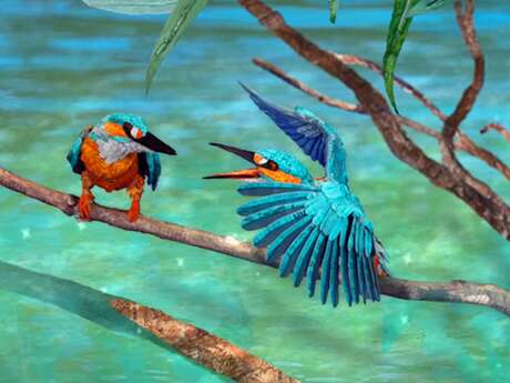 Ciné éveil pour les enfants