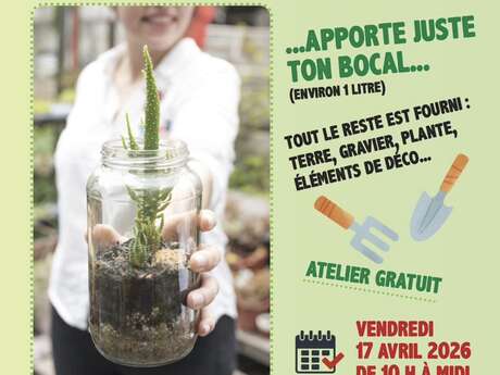 Viens créer ton terrarium !