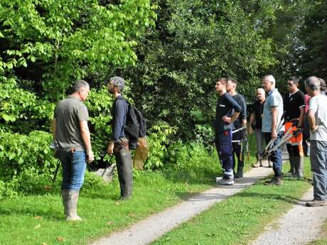 Chantier participatif de régulation de l'érable