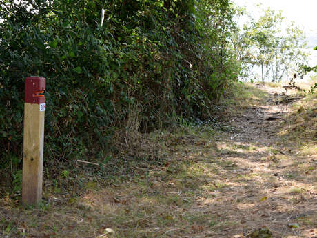 Parcours permanent d'orientation