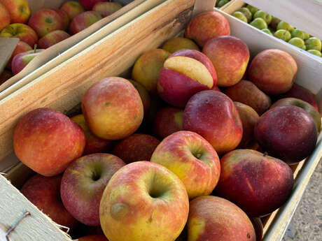 Marché gourmand animé