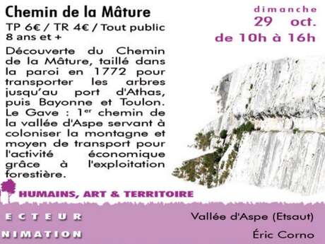 Chemin de la mâture - Sortie CPIE Chemin de la mâture - Sortie CPIE