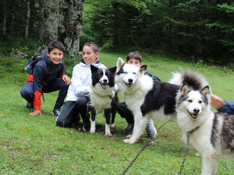 Randonner avec un chien nordique à Oloron Sainte-Marie