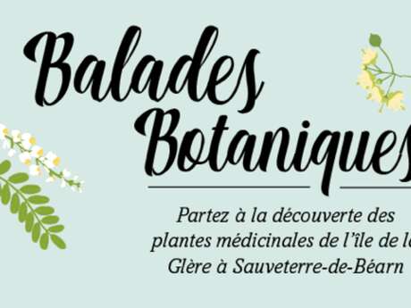 Paseos botánicos