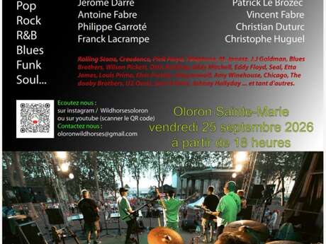 Concert des Wild Horses