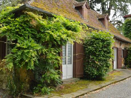 Gîte Les Glycines