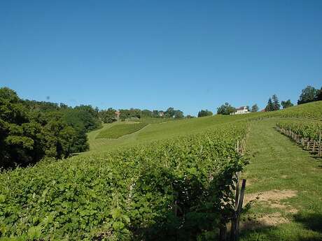 Domaine Lapeyre-Guilhemas