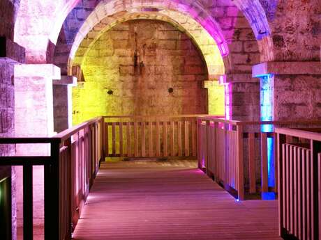 Journées Européennes du Patrimoine : visite de la crypte du Bayaà par l'association Archéo2gaves