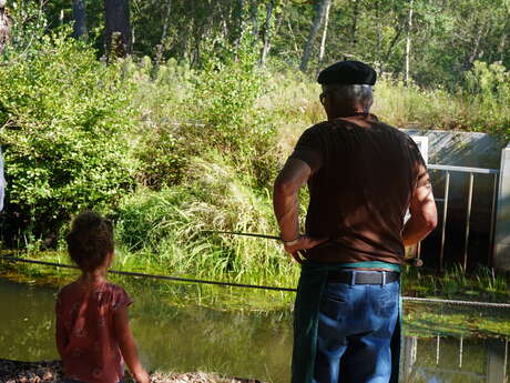 Faune et traditions à Marquèze