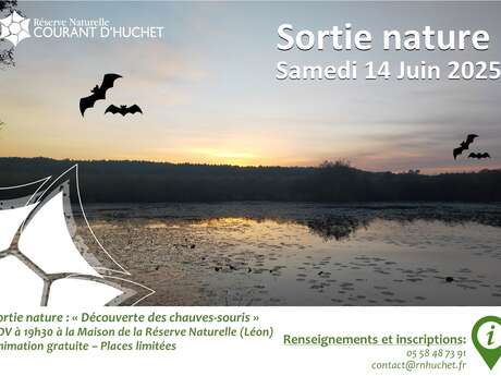 Nuit internationale de la chauve-souris