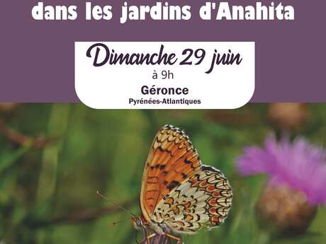Sortie nature - Découverte des papillons et autres pollinisateurs présents dans les jardins d'Anahita