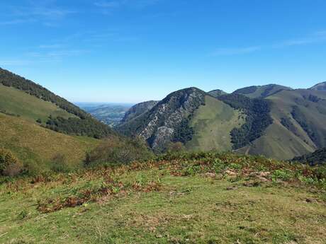 VTT N°15 - Descente d'Issarbe